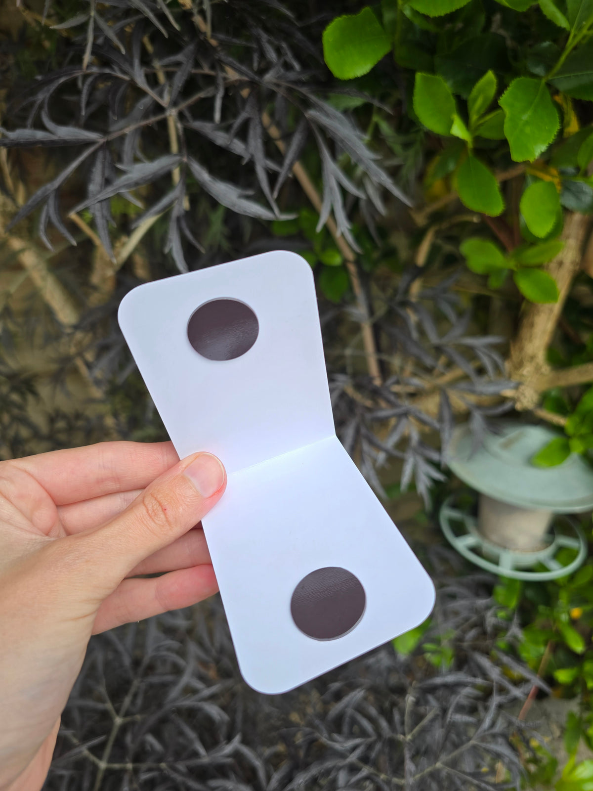 Spicey Bookmarks (standard and magnetic )