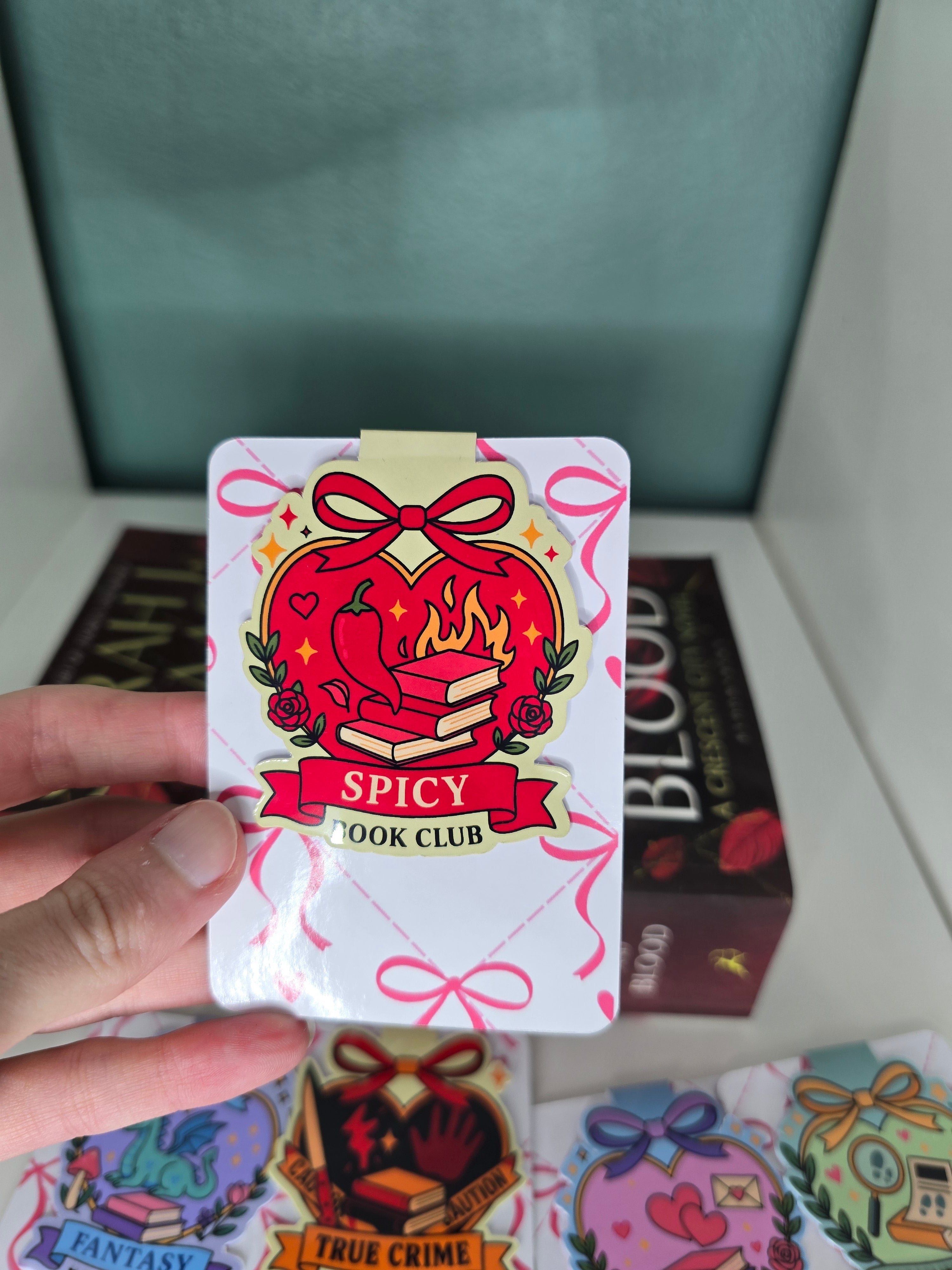 Magnetic Bookmark Bundle (please read description)