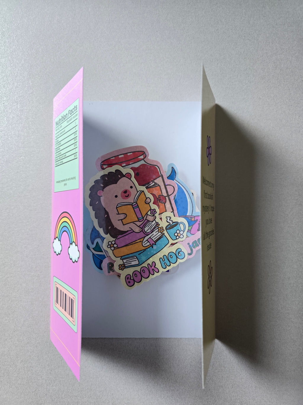 Mystery Bookish Bundle