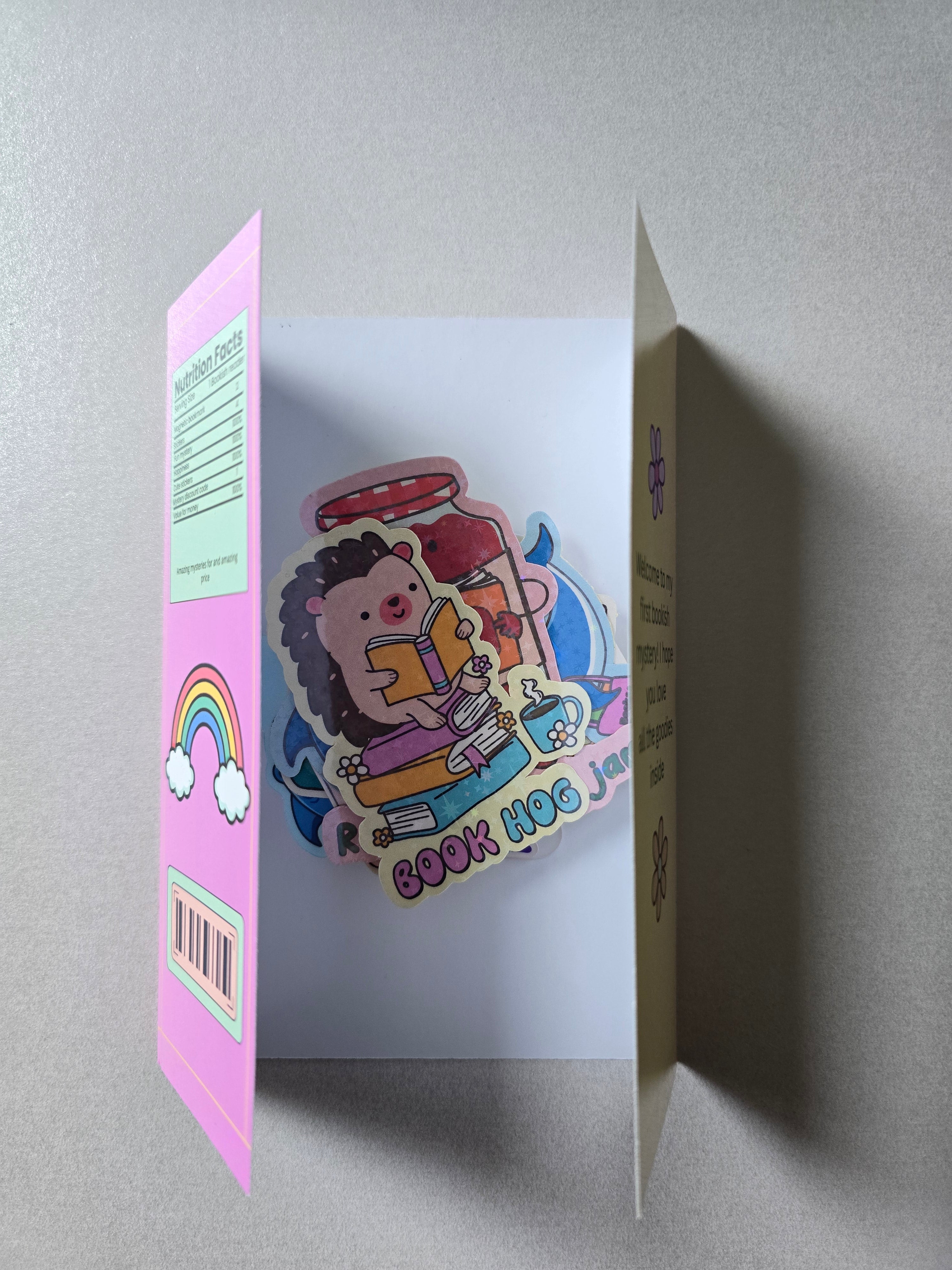 Mystery Bookish Bundle